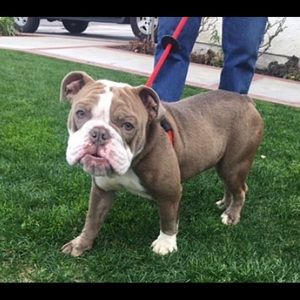 Meet your Posher, Juelz